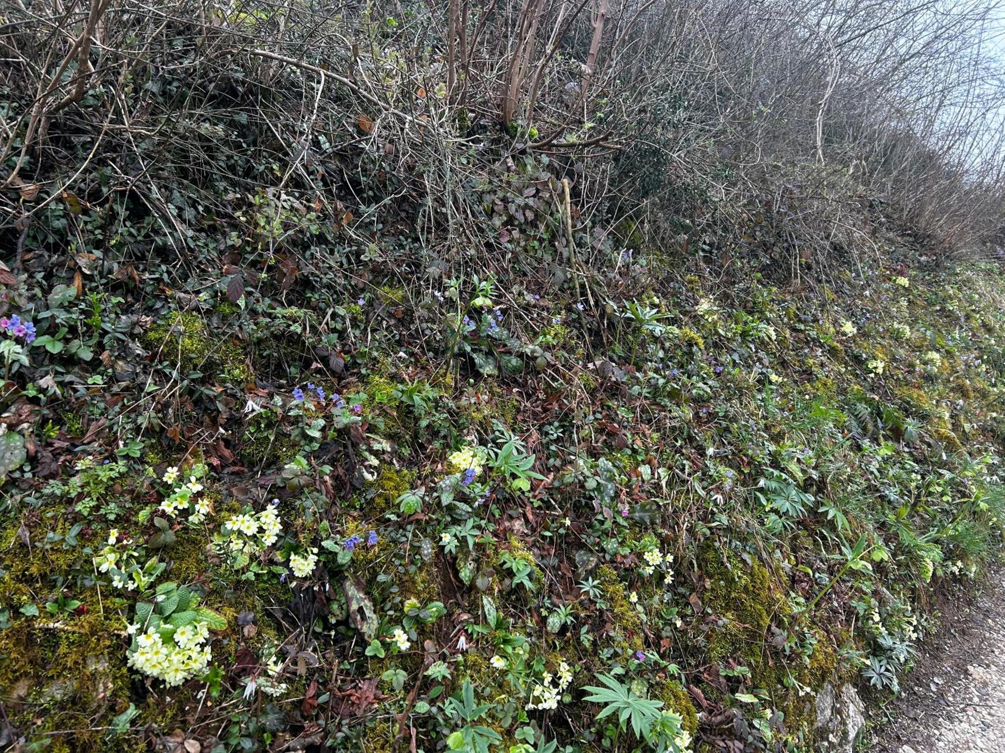 Nuovo B&B Colline San Benedetto Marostica Kültér fotó